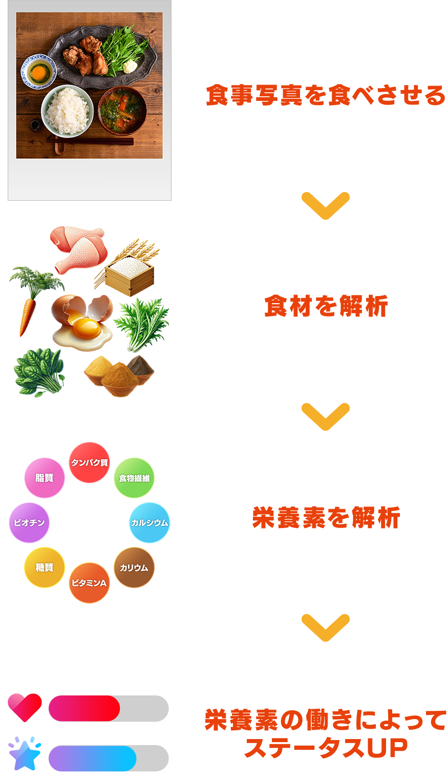 ステータスUPまでの手順